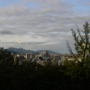 남부순환로328길 49__ 이미지