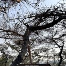 산불진화 고압수관 보관함 이미지