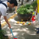 짬뽕 앤 짜장 이미지