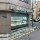 우리펫 강아지분양 성동구점 | 강남강아지분양 서리펫 애견샵