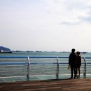 송도해수욕장 이미지