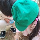 새동산어린이집 이미지