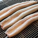 비장어 장어 이미지