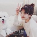 천사 애견 이미지