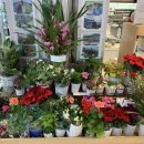 오창농협 하나로마트 이미지