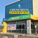 춘천원예농업협동조합하나로마트
