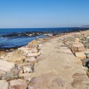 호미반도해안둘레길 이미지