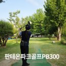 달채 | 입문자에게 추천하는 파크골프채, 판테온 PB300 한달사용 후기