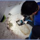 대일설비 이미지