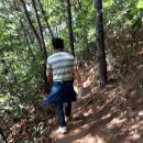 최혼선생묘 이미지