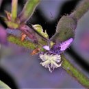 명성노래연습장 이미지