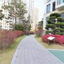 e편한세상 용인한숲시티 6단지 이미지