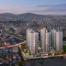 흥안대로 이미지