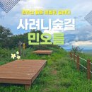 남조로 사려니숲길입구 | 제주 사려니숲길 주차부터 입구까지| 민오름 연계 1시간 힐링 트레킹