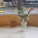 경인로1148번길 | 송내 브런치 카페 멜로우브런치하우스 5번 방문 후기