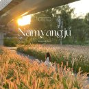 다산 게이트볼장 | 억새풀 수크령 인생샷 포토존 명소 &#39;다산수변공원&#39; _남양주 산책, 가을 나들이 가볼만한곳