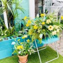 세븐성내 이미지