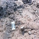 공룡화석지 이미지