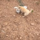 재철농장 이미지