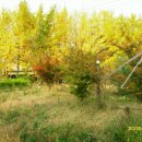 전원목장 이미지