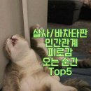 봄댄스아카데미 네이버블로그