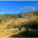 보길면-3 이미지