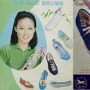 진양광고