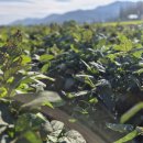 병철농장 이미지