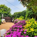 태란 펜션 이미지