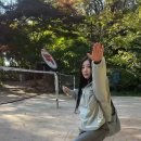 갸루언니