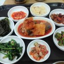 요일밥상 이미지