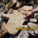 정선악세사리 이미지