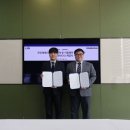 인텔렉투스
