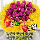 천하태평 이미지