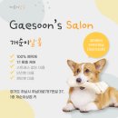 우리 애견 미용실 이미지