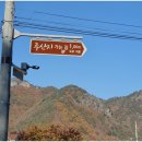 금곡2리 | 신비롭고 아름다운 물의 정원 「청송 주산지 일원」