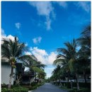 슈퍼카서비스 이미지