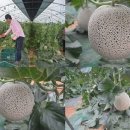 동남유통공판장 이미지