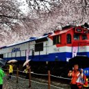 공설운동장(서편) 이미지