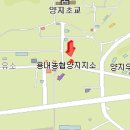 용인 양지 진주식당 - 입맛이 절로나는 식당. 이미지