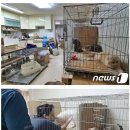 동물학대 신고 받고 출동한 서울 송파구 다세대 주택 이미지