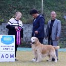 매니아클럽 이미지