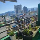 풍성한빌딩 이미지