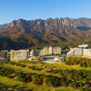 케이소노 이미지