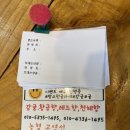 제주탐스런귤자매