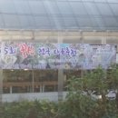 오비네다육