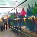 성결농장 이미지