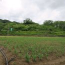 옥동교차로 부근 이미지