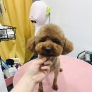 미쓰멍 이미지