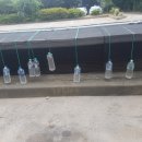 교전빌딩 이미지